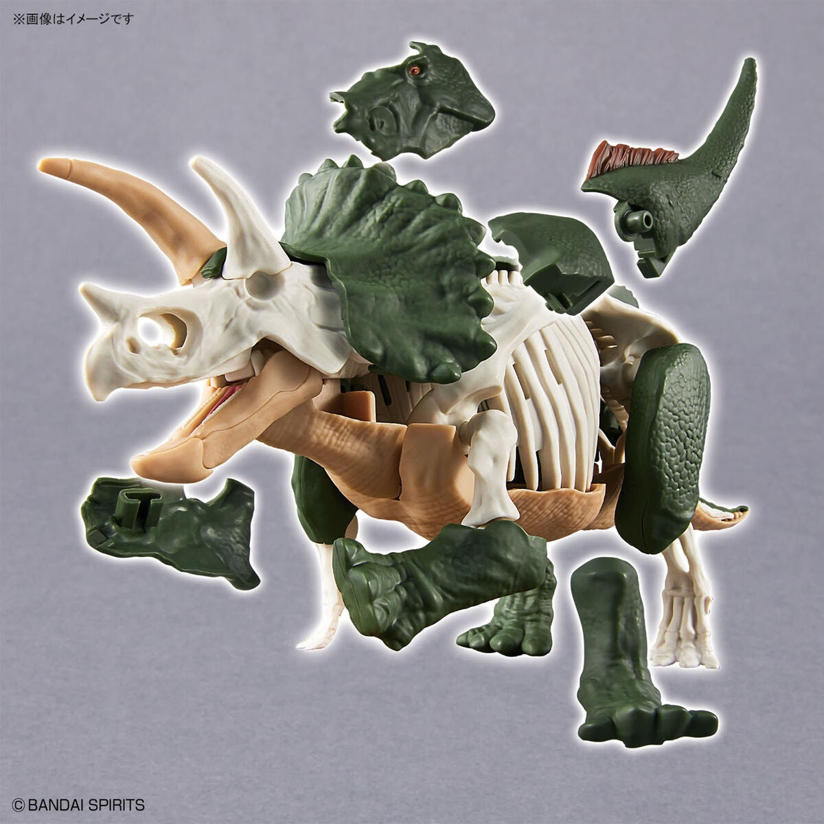 BANDAI Hobby New Dinosaur Plastic Model Kit Brand Triceratops