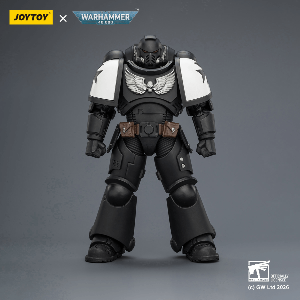 Black Templars Intercessor with Bolt Rifle, Bolt Pistol and Chainsword | 6927054403905
