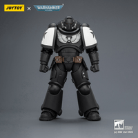 Black Templars Intercessor with Bolt Rifle, Bolt Pistol and Chainsword | 6927054403905