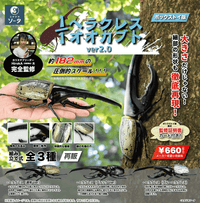 1/1 Hercules Beetle ver2.0 (Box of 4) | 4582361786824