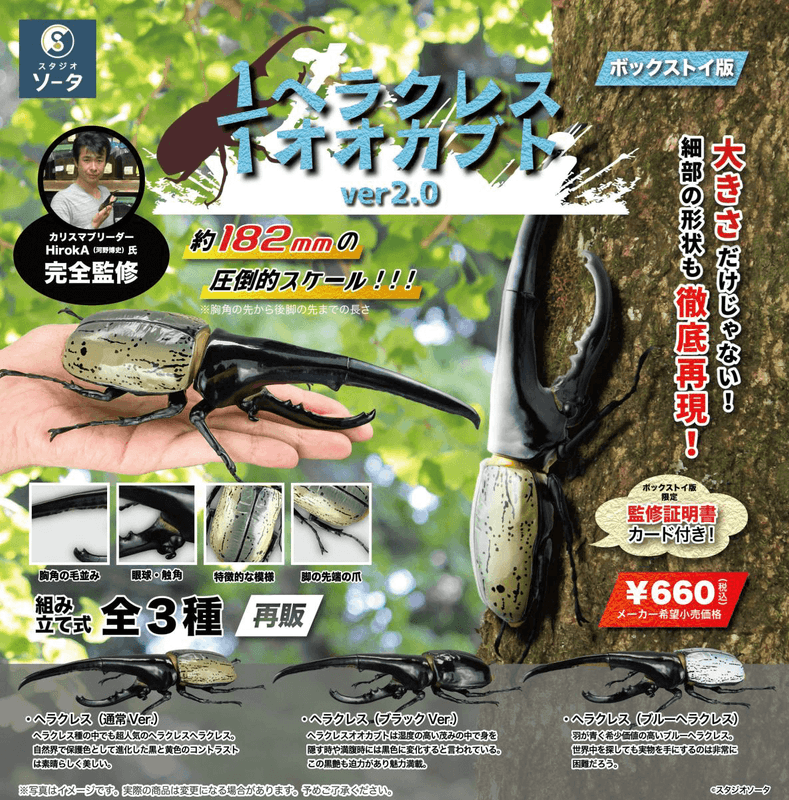 1/1 Hercules Beetle ver2.0 (Box of 4) | 4582361786824