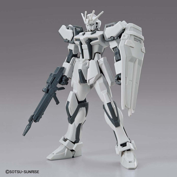 Entry Grade 1/144 The Gundam Base Limited Strike Gundam [Painting Model]