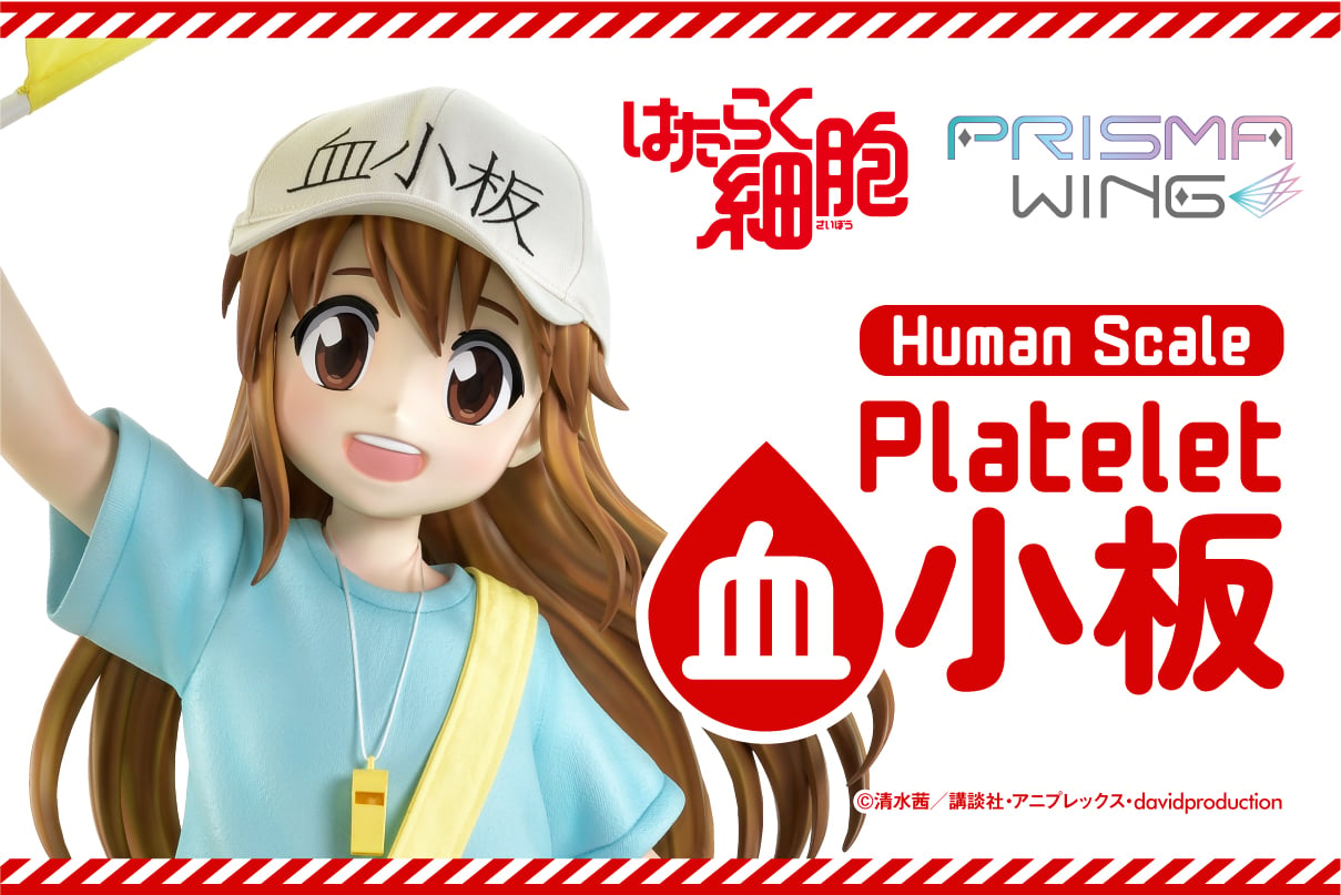Life Scale Masterline Cells at Work Platelet