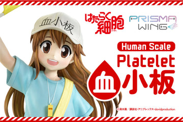 Life Scale Masterline Cells at Work Platelet