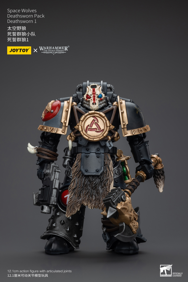 Joy Toy Space Wolves Deathsworn Pack Deathsworn 1