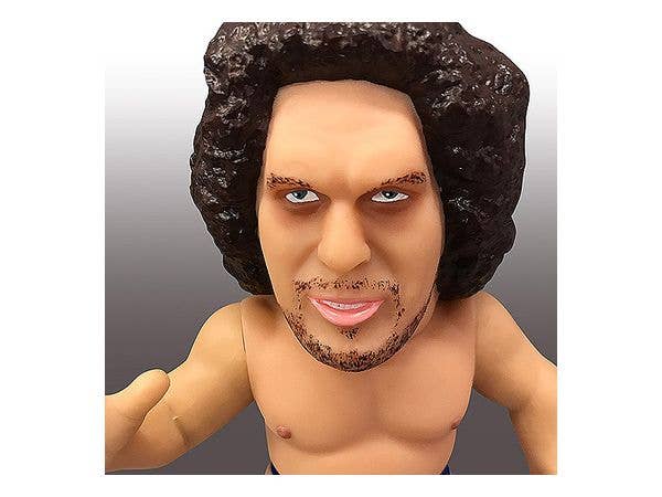 16d Collection: WWE Andre the Giant(re-run) | 4580588014812