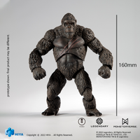 HIYA Toys EXQUISITE BASIC: "GODZILLA VS KONG" - Kong | 6957534201905