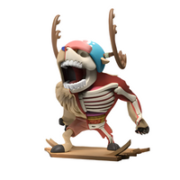 Mighty Jaxx XXRAY Plus Monster Point ONE PIECE | 0641489936581