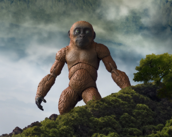 BANDAI Tamashii SUKO & MOTHRA (2024) FROM GODZILLA x KONG: THE NEW EMPIRE	GODZILLA x KONG: The New Empire ""GODZILLA x KONG: The New Empire"", TAMASHII NATIONS S.H.MonsterArts | 4573102668677