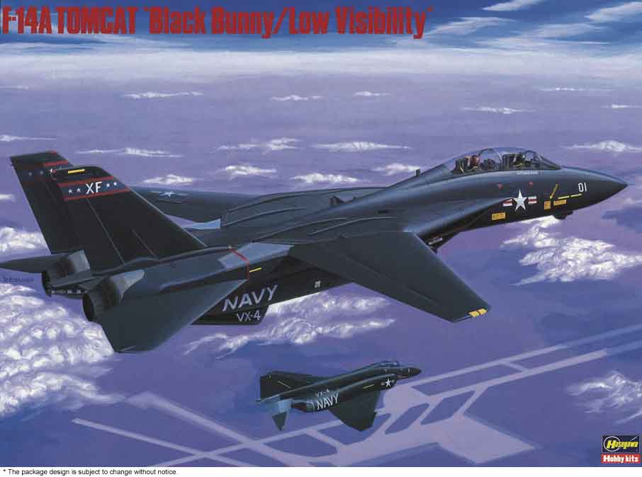 Hasegawa 1/72 US Navy F-14A Tomcat Black Bunny/Low Visibility