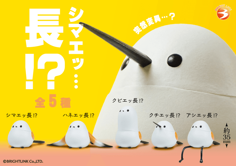 Extra-Long Shimaenaga!? (Box of 12)