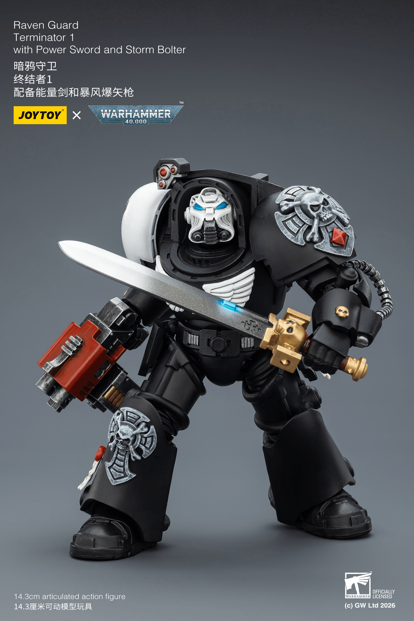 Raven Guard Terminator 1 with Power Sword and Storm Bolter | 6927054403240