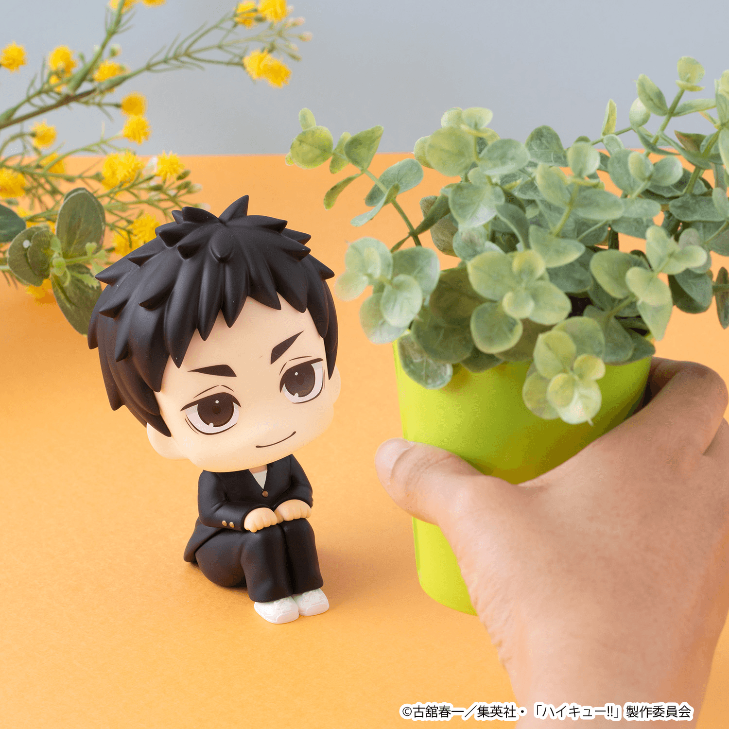 Lookup Haikyu!! Daichi Sawamura | 4535123851001