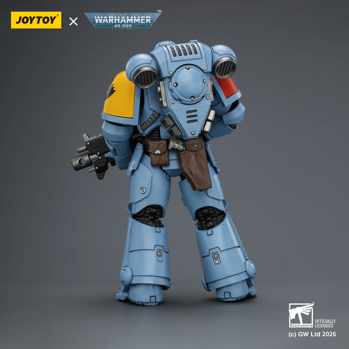 Space Wolves Intercessor with Bolt Rifle, Bolt Pistol and Chainsword | 6927054403851