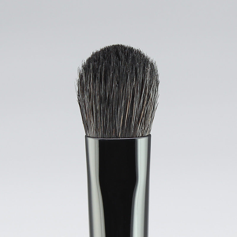 Hasegawa Gradation Brush (L) (KF101) | 4967834713017
