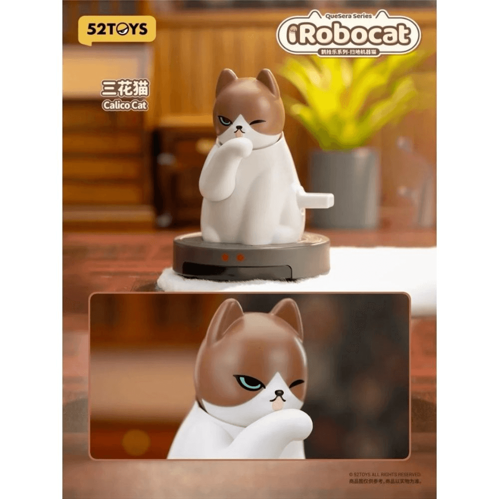 QueSera Series-iRobocat (Box of 6)
