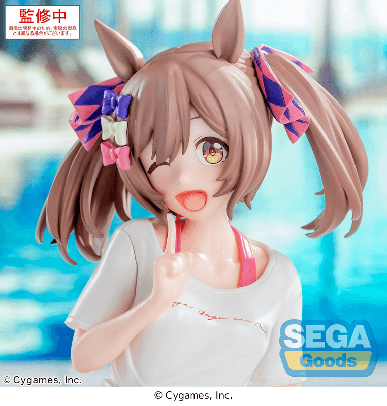 SEGA Yumemirize Umamusume: Pretty Derby Smart Falcon -Gaze on Me!- | 4582733450612