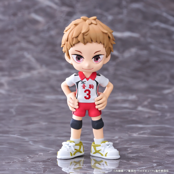 Bushiroad Creative PalVerse Haikyu | 4571598685246