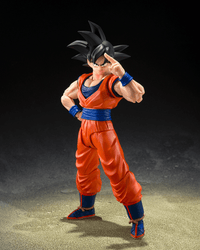 SON GOKU "DRAGON BALL Z" | 4573102697837
