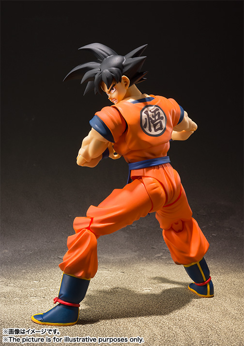 BANDAI Tamashii Son Goku -A Saiyan Raised On Earth- Dragon Ball Z, TAMASHII NATIONS S.H.Figuarts(4573102555403)(4573102555403)