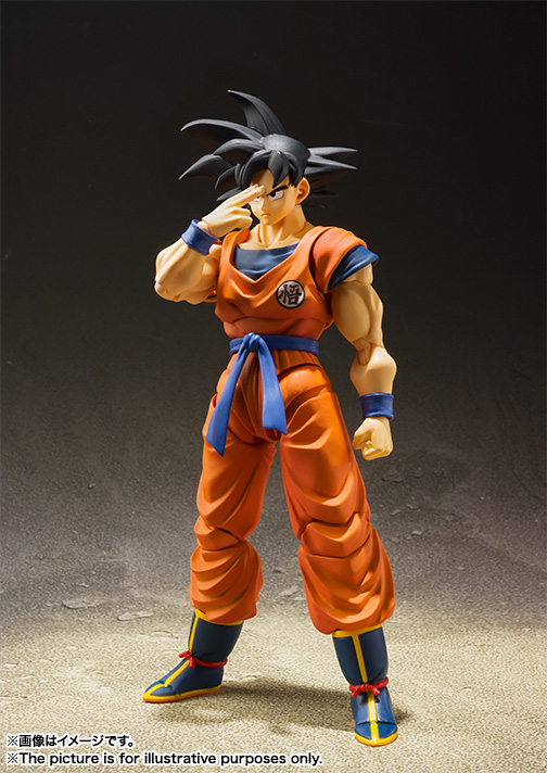 BANDAI Tamashii Son Goku -A Saiyan Raised On Earth- Dragon Ball Z, TAMASHII NATIONS S.H.Figuarts(4573102555403)(4573102555403)