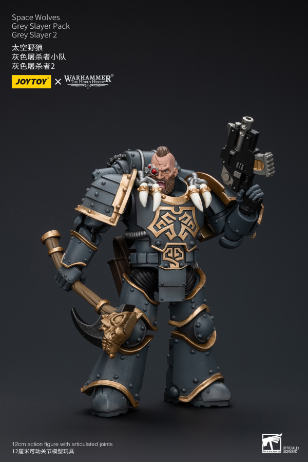 Joy Toy Space Wolves Grey Slayer Pack Grey Slayer2 | 6973130377516