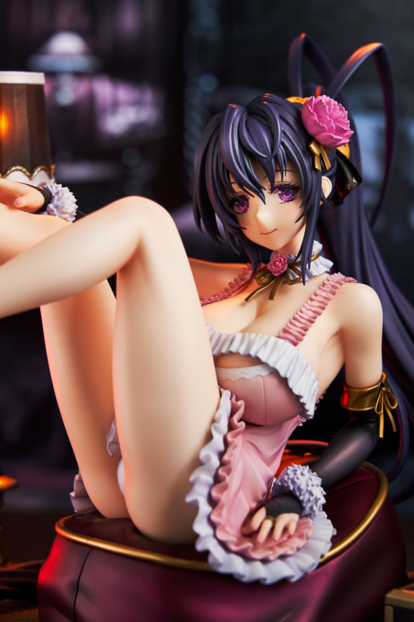 KADOKAWA High School DxD Akeno Himejima: Light Novel 15th Anniversary ver. | 4935228859832