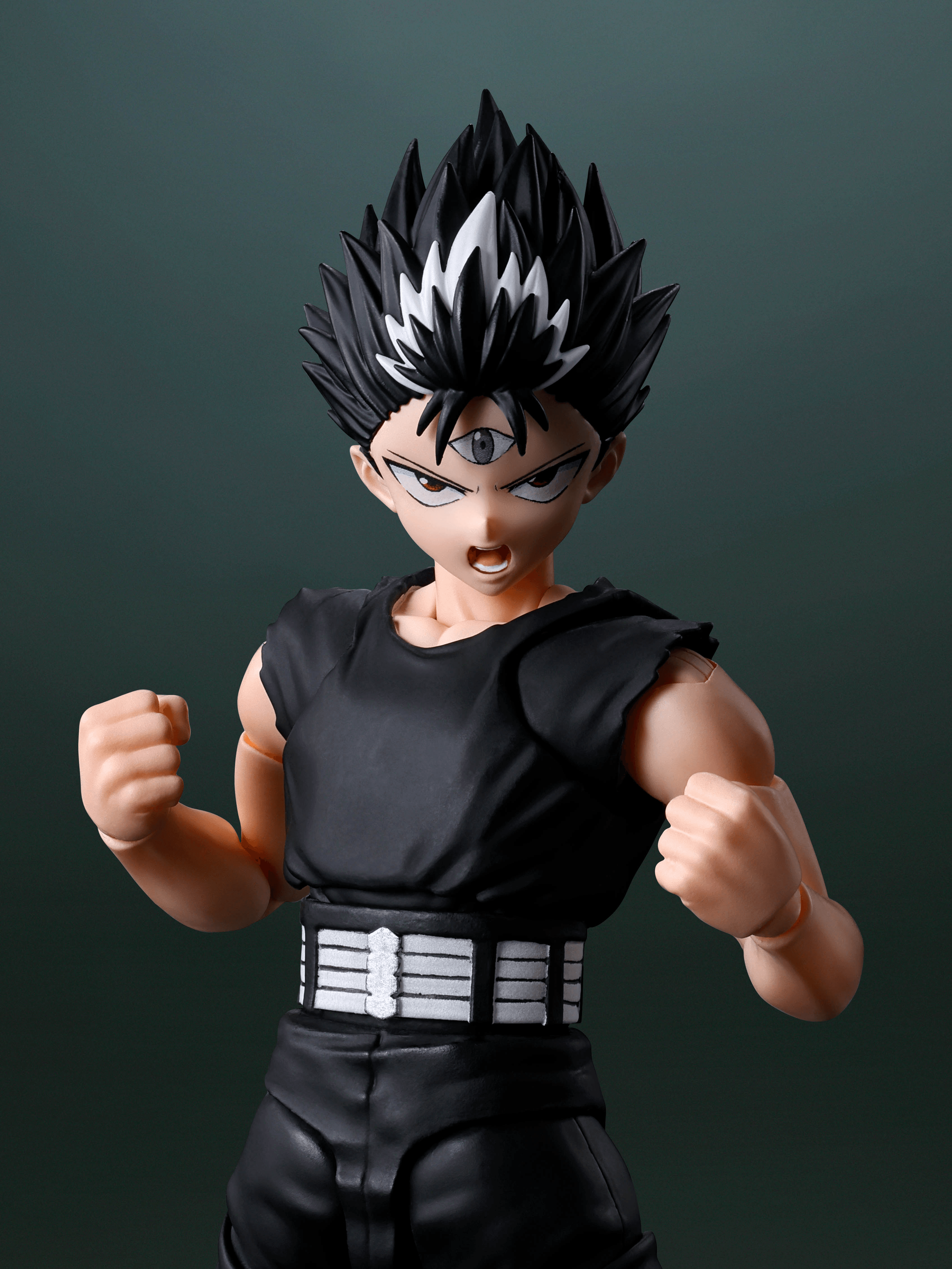 HIEI | 4573102676504