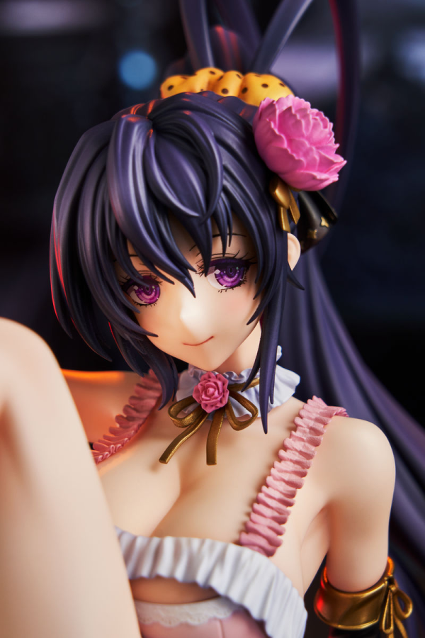 KADOKAWA High School DxD Akeno Himejima: Light Novel 15th Anniversary ver. | 4935228859832