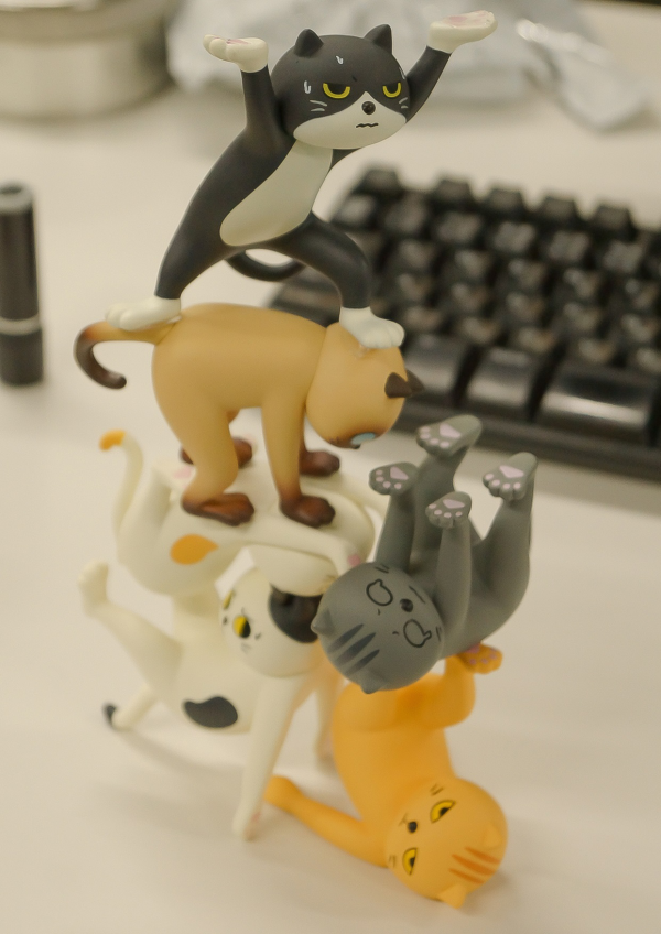 Shenzhen Mabell Animation Development Ennoshitano Neko | 4582362386214