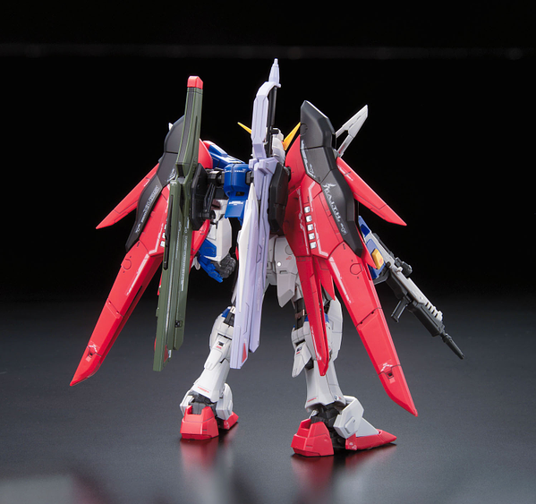 RG 1/144 #11 Destiny Gundam | 4573102616166