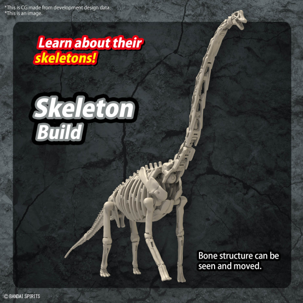 PLANNOSAURUS Brachiosaurus | 4573102674272