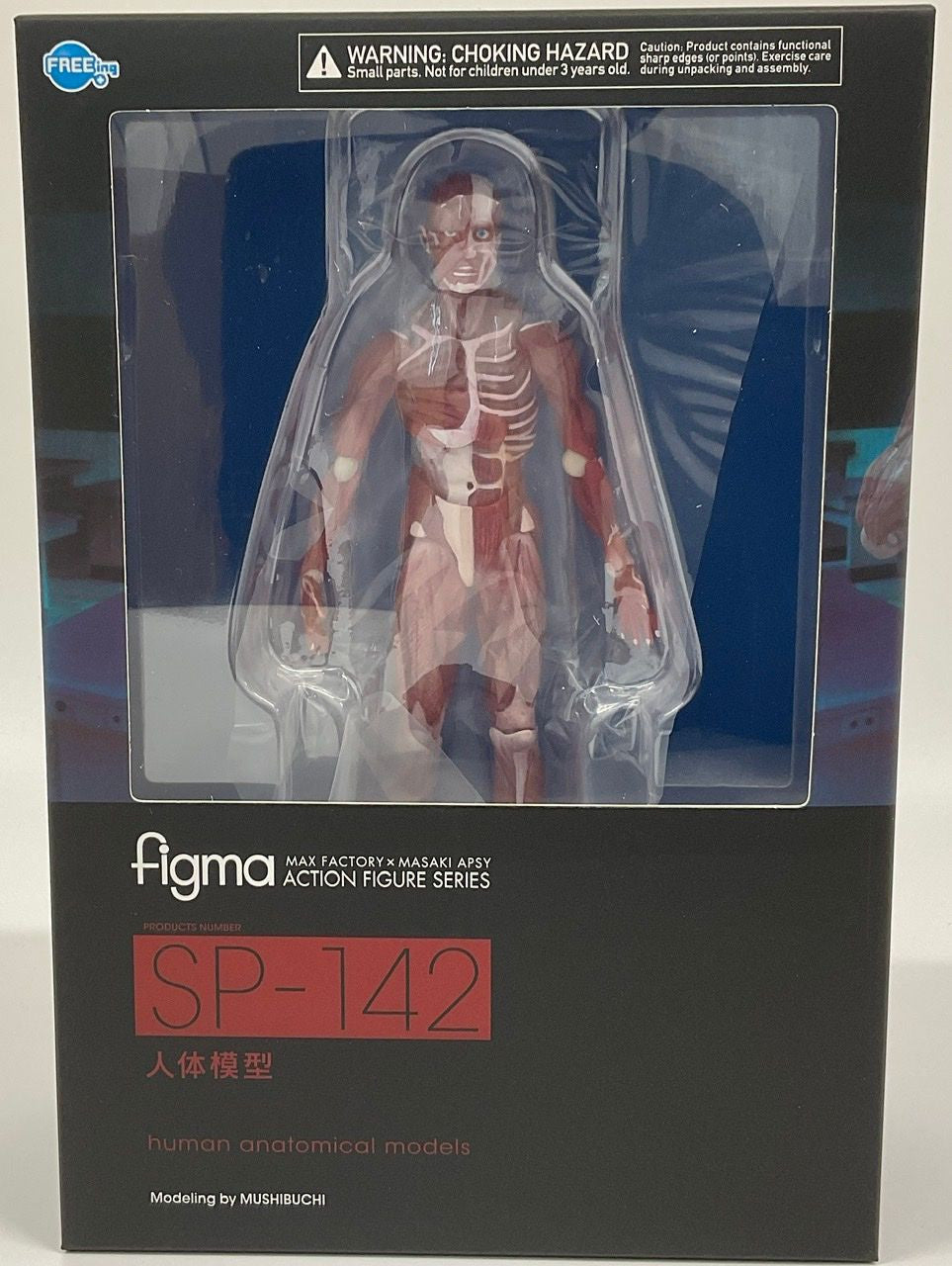 Good Smile Company [GoodSmile] figma Human Anatomical Model(4570001510427)