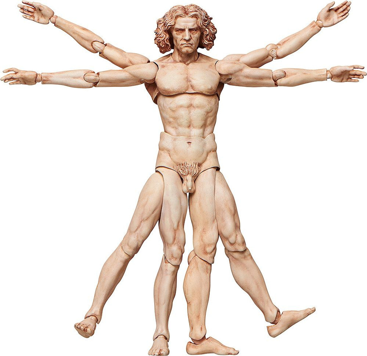 Good Smile Company [GoodSmile] figma Vitruvian Man(2nd re-run)(4570001510434)