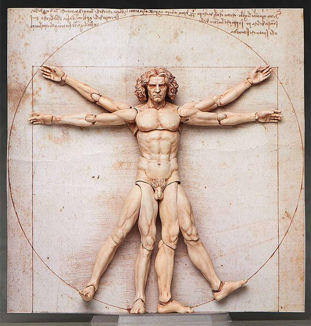 Good Smile Company [GoodSmile] figma Vitruvian Man(2nd re-run)(4570001510434)