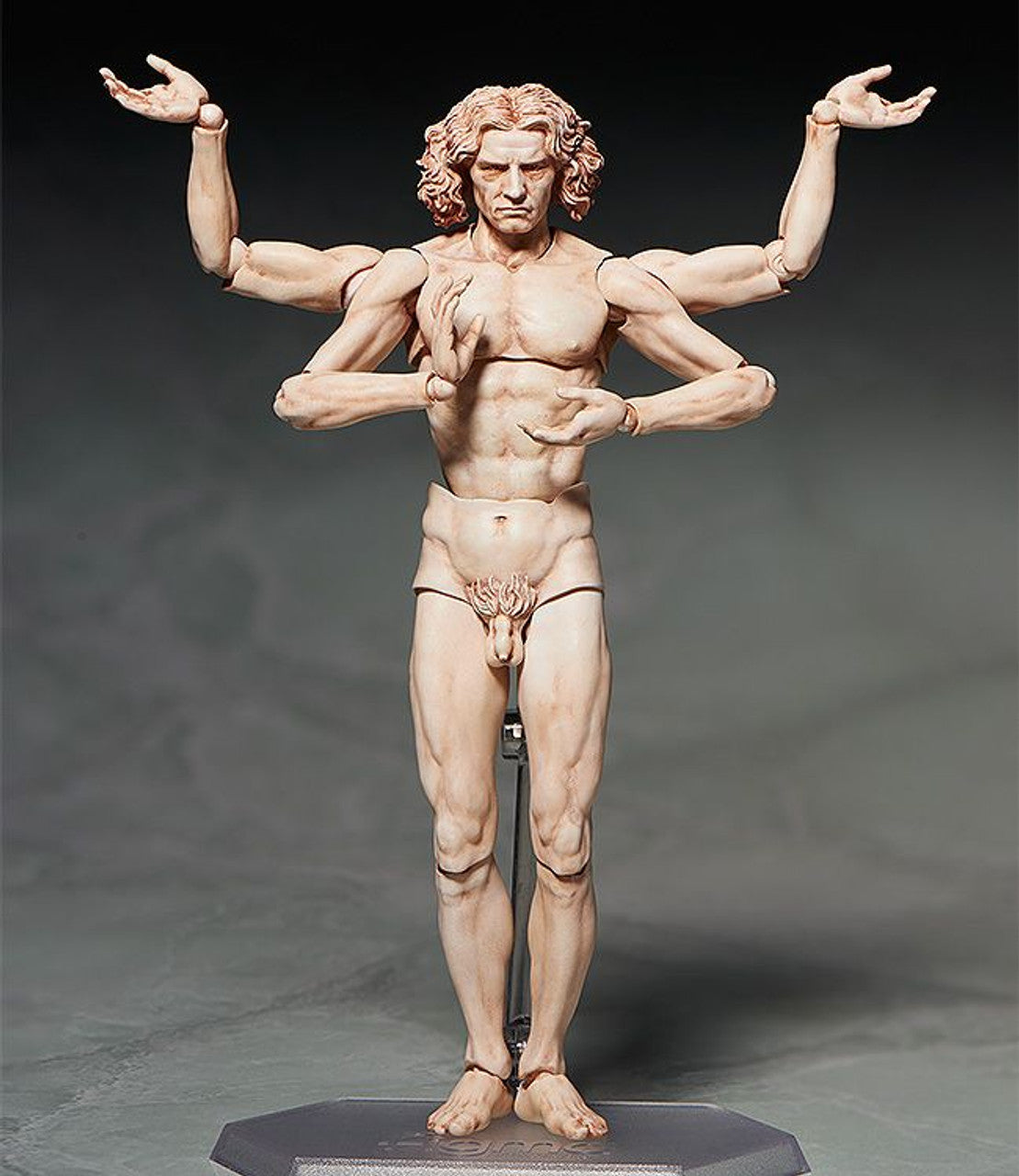 Good Smile Company [GoodSmile] figma Vitruvian Man(2nd re-run)(4570001510434)