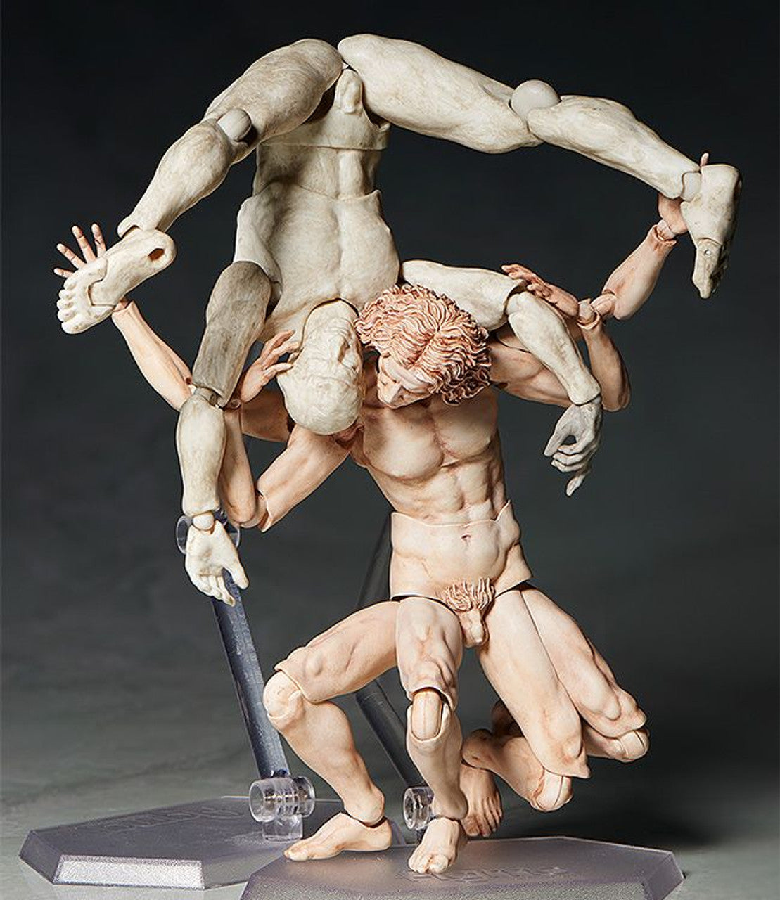 Good Smile Company [GoodSmile] figma Vitruvian Man(2nd re-run)(4570001510434)