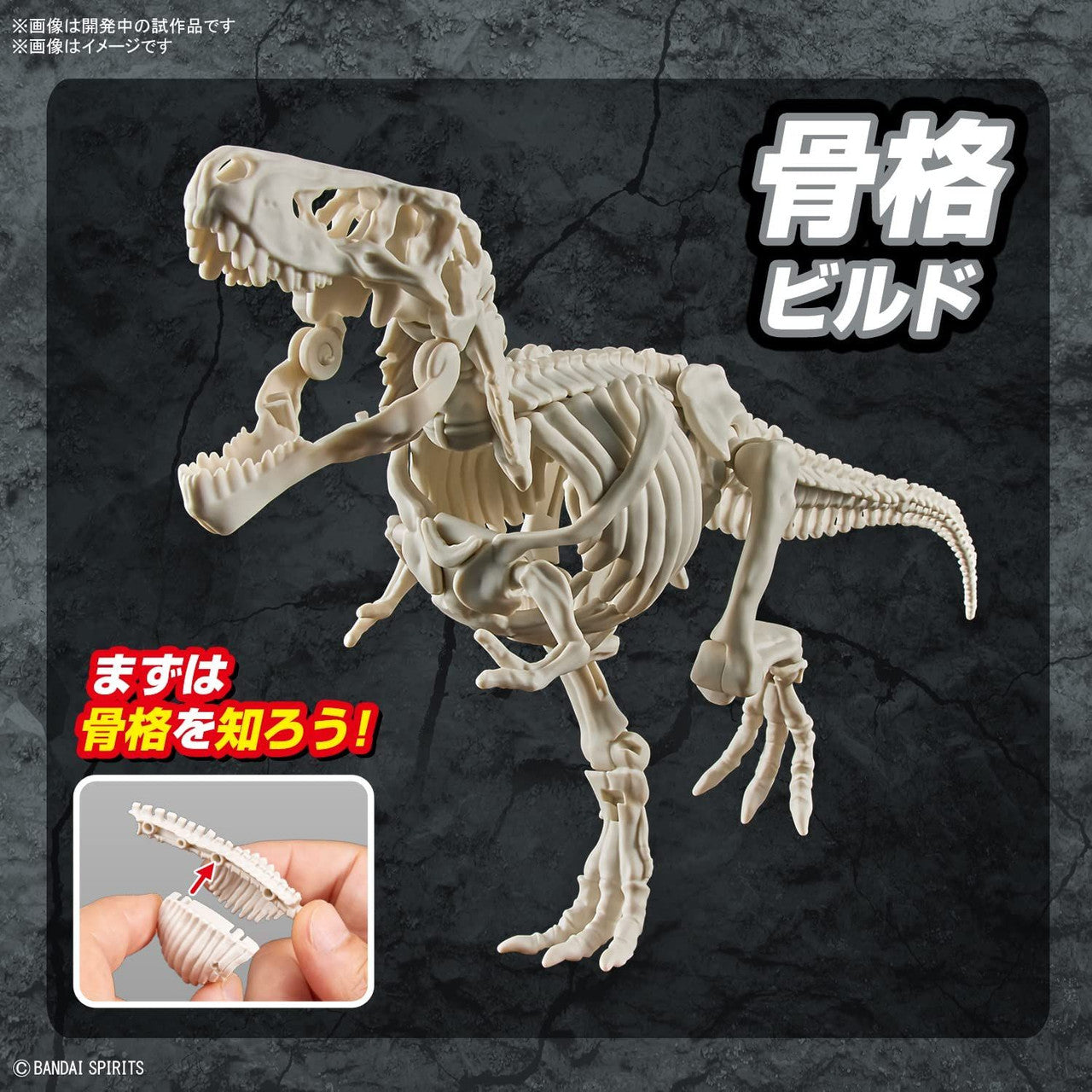 BANDAI Hobby New Dinosaur Plastic Model Kit Brand Tyrannosaurus