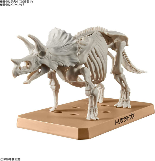BANDAI Hobby New Dinosaur Plastic Model Kit Brand Triceratops