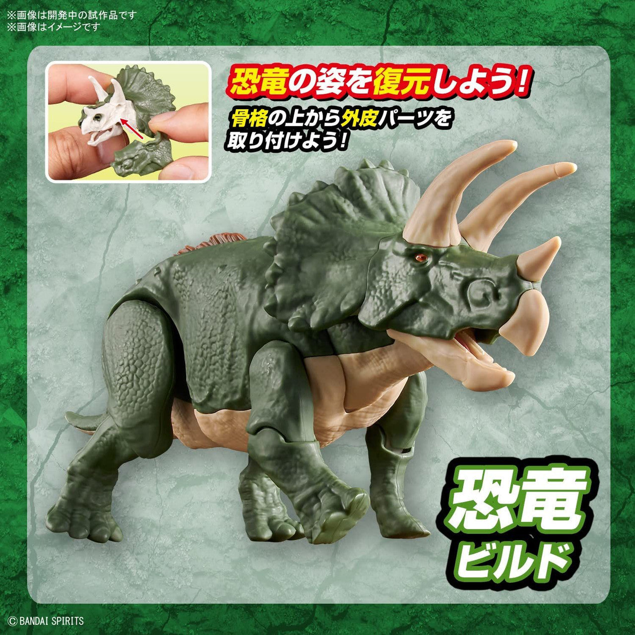 BANDAI Hobby New Dinosaur Plastic Model Kit Brand Triceratops