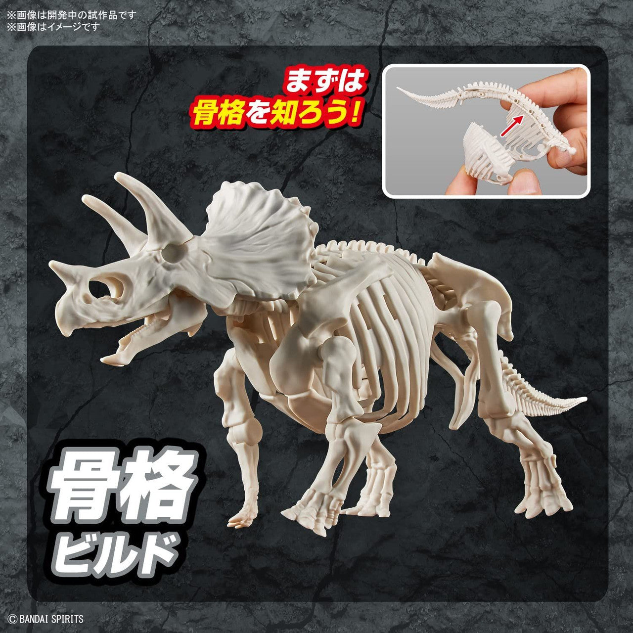 BANDAI Hobby New Dinosaur Plastic Model Kit Brand Triceratops