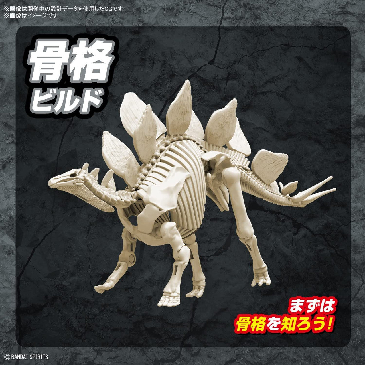 BANDAI Hobby New Dinosaur Plastic Model Kit Brand Stegosaurus