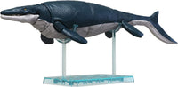 PLANNOSAURUS Mosasaurus | 4573102653215