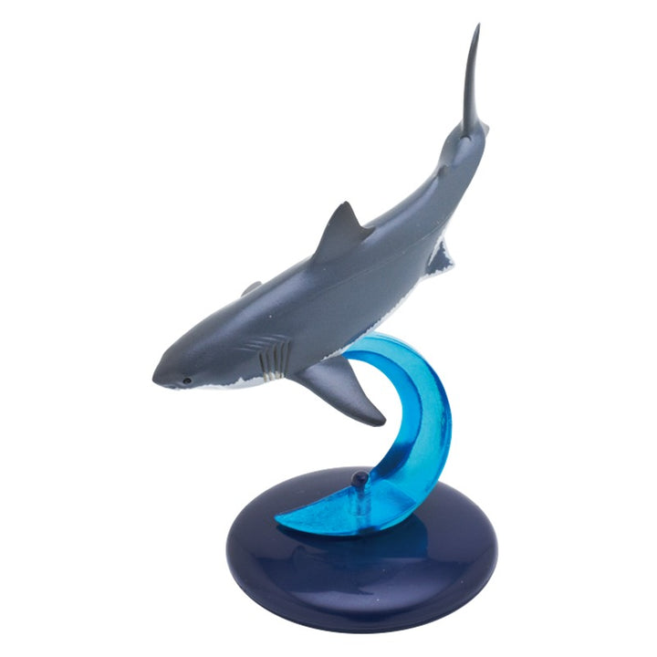 NTC400 Sharks (BOX) (Box of 12)