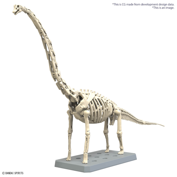PLANNOSAURUS Brachiosaurus | 4573102674272