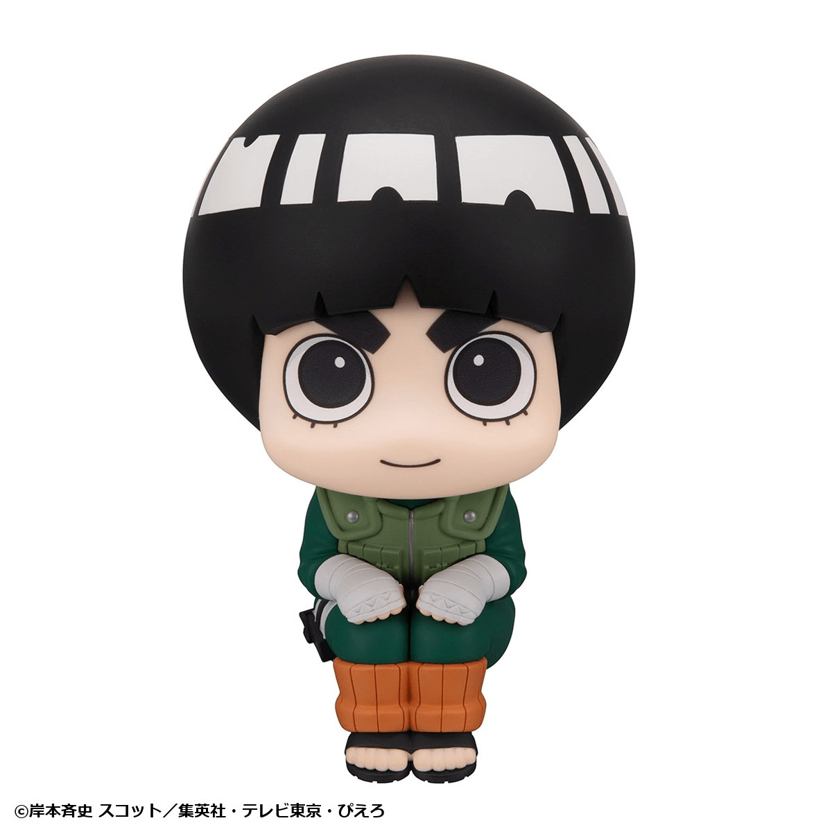 Lookup NARUTO Shippuden Rock Lee