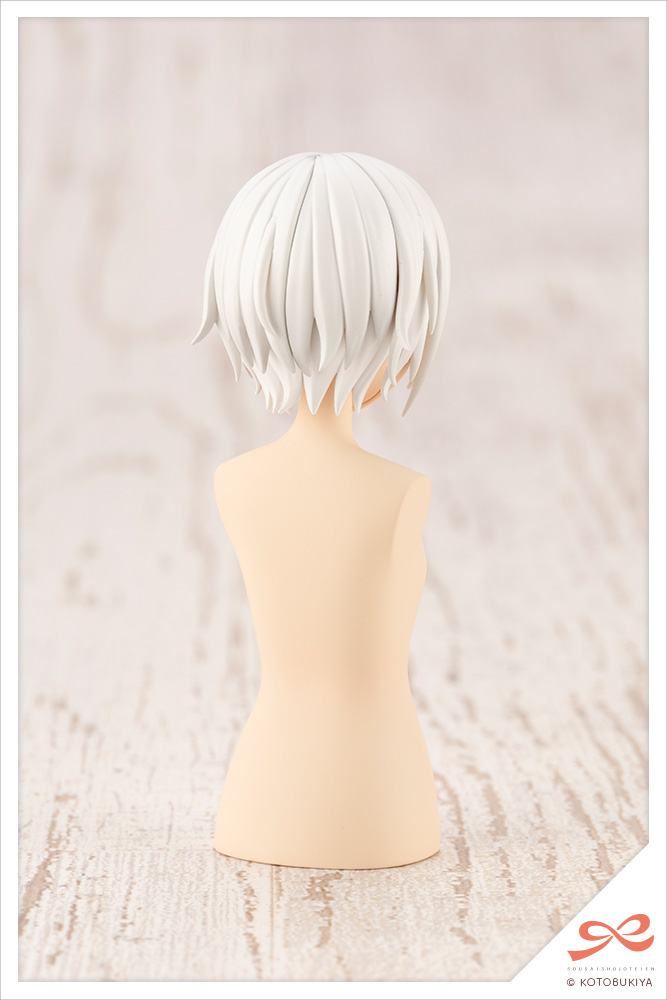 AFTER SCHOOL SHORT WIG TYPE: A [WHITE &amp; CHOCOLATE BROWN] | 0190526034327