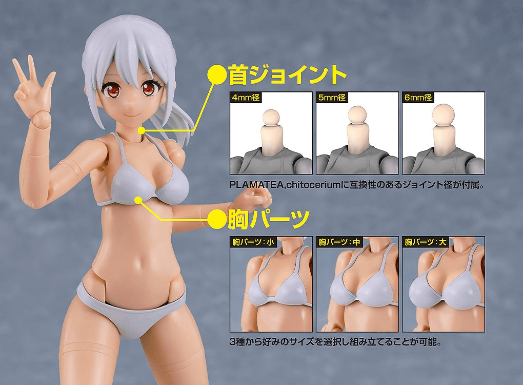 PLAMATEA Muse Body: Ichika - Bikini Ver. C Type | 4580828672055