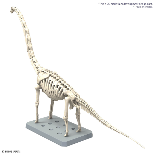 PLANNOSAURUS Brachiosaurus | 4573102674272