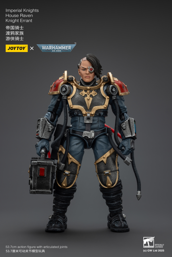 JOYTOY Imperial Knights House Raven Knight Errant | 6973130379305